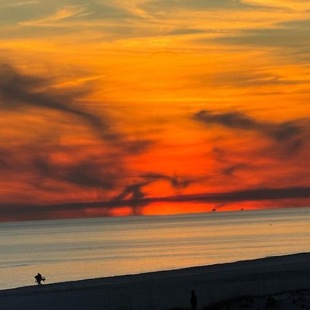 Sunchase #203 Διαμέρισμα Gulf Shores Εξωτερικό φωτογραφία