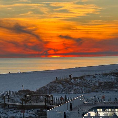 Sunchase #203 Διαμέρισμα Gulf Shores Εξωτερικό φωτογραφία